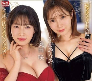 SONE-335 双肉食痴女回家剧情解析